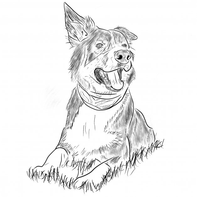 Meggie