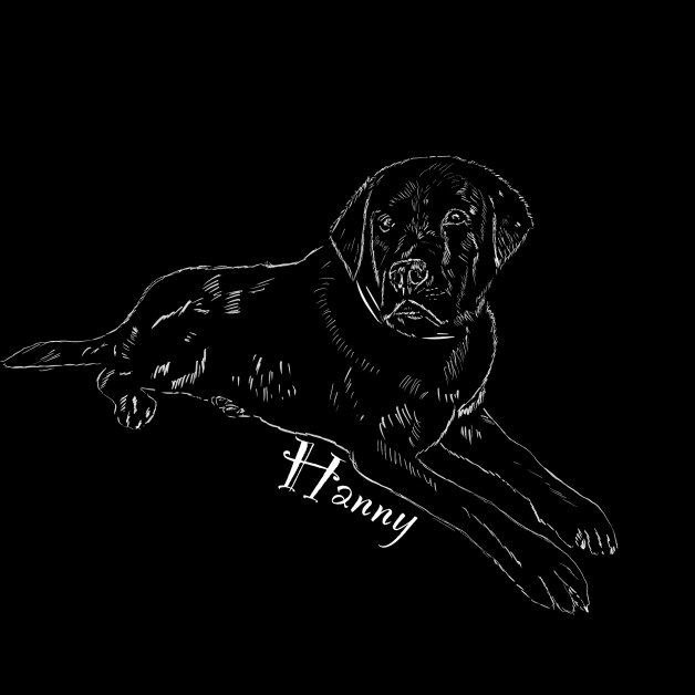 Labrador