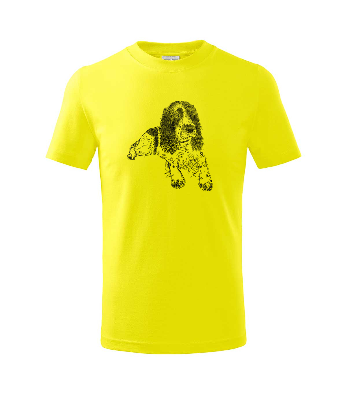 Springer Spaniel - citonová