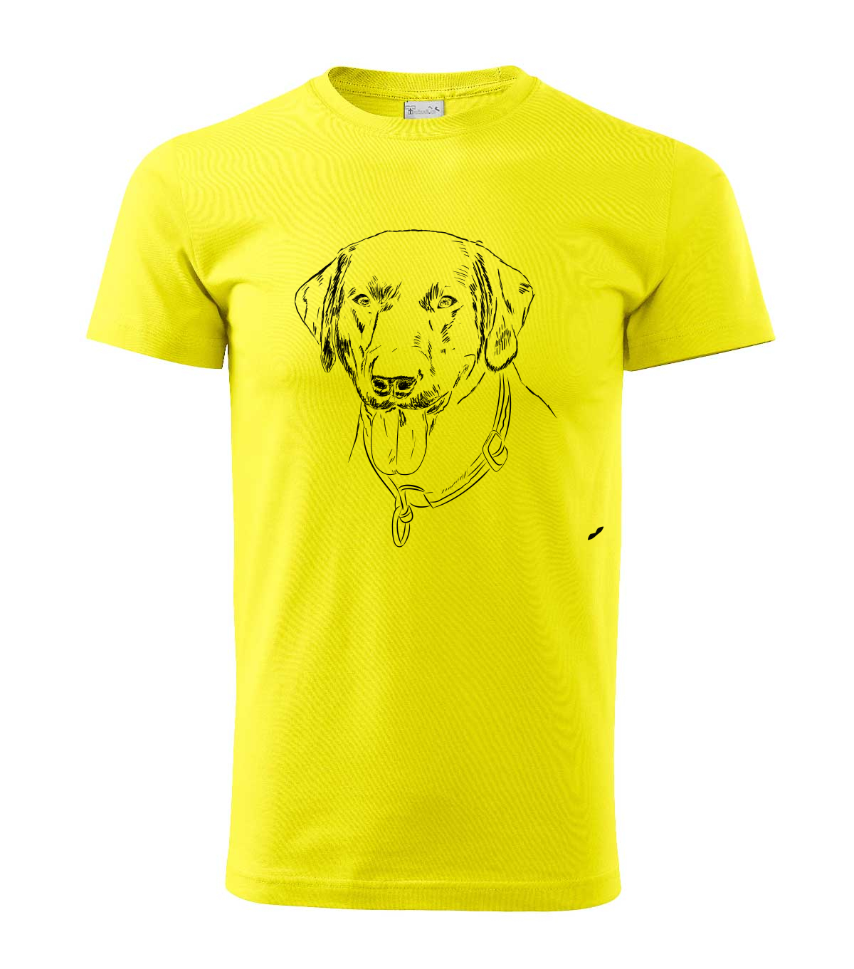 Labradorský retriever - citonová