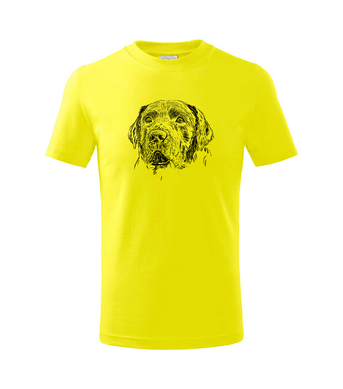 Labradorský retriever - citonová