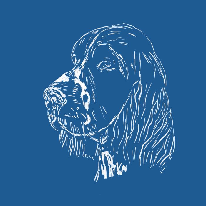 Springer Spaniel - azurově modrá