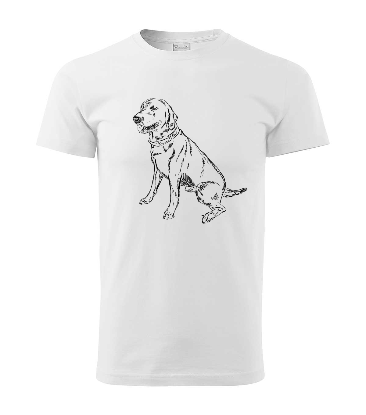 Labradorský retriever - bílá