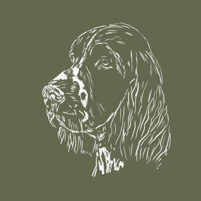 Springer Spaniel - khaki