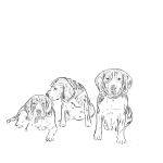 Bígl