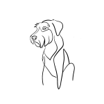Knírač velký černý