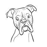Německý boxer