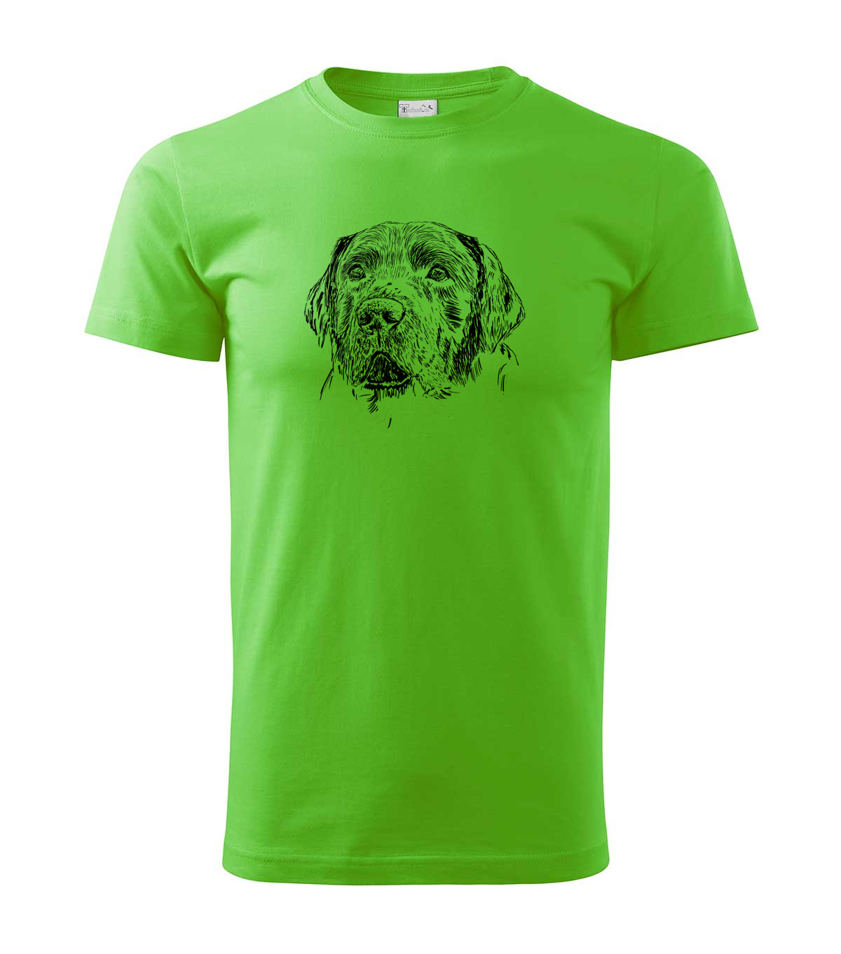 Labradorský retriever