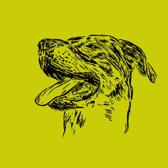Bauceron - limetková