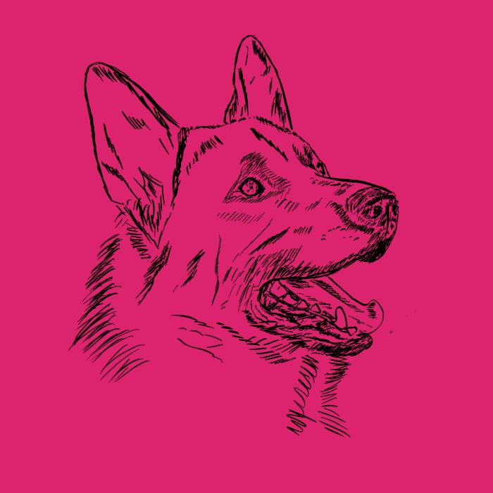 Německý ovčák - malinová