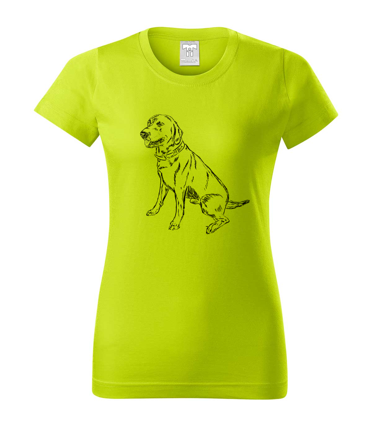Labradorský retriever - limetková