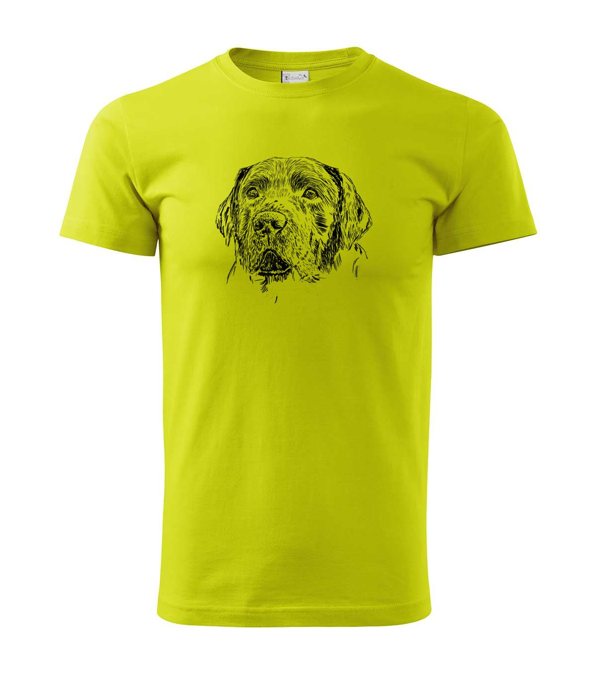 Labradorský retriever