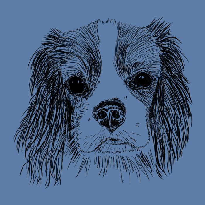 Cavalier - nebesky modrá