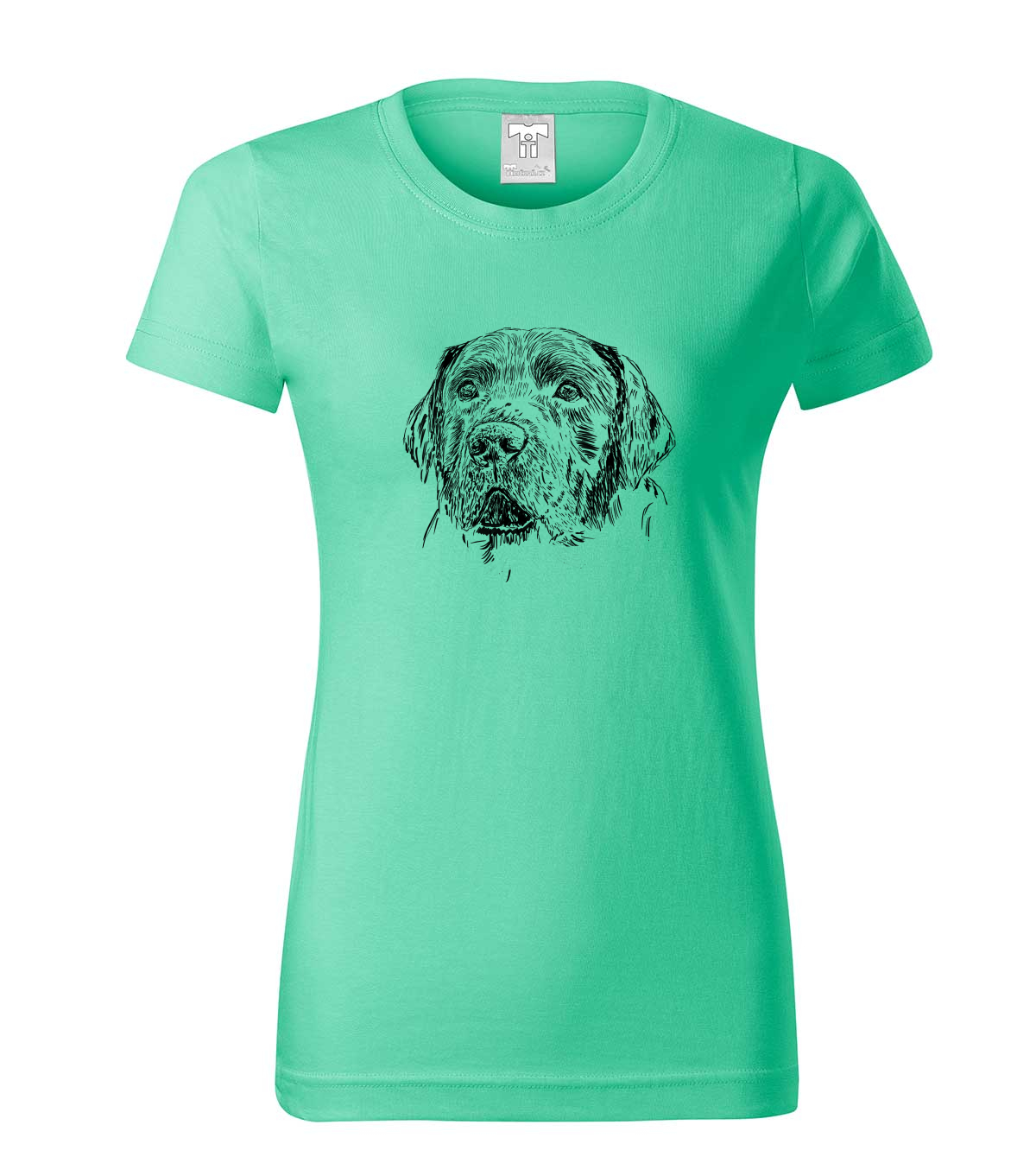 Labradorský retriever - mátová