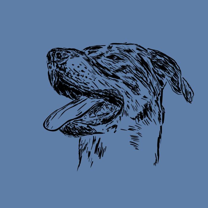 Bauceron - nebesky modrá