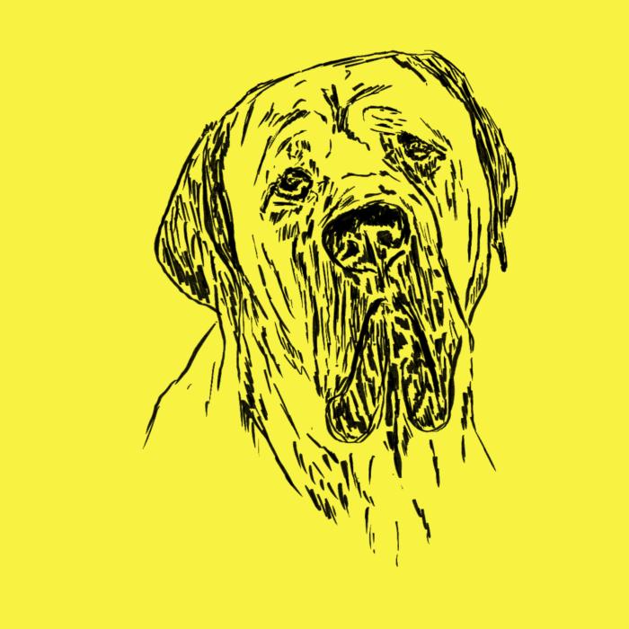 Cane corso - citonová