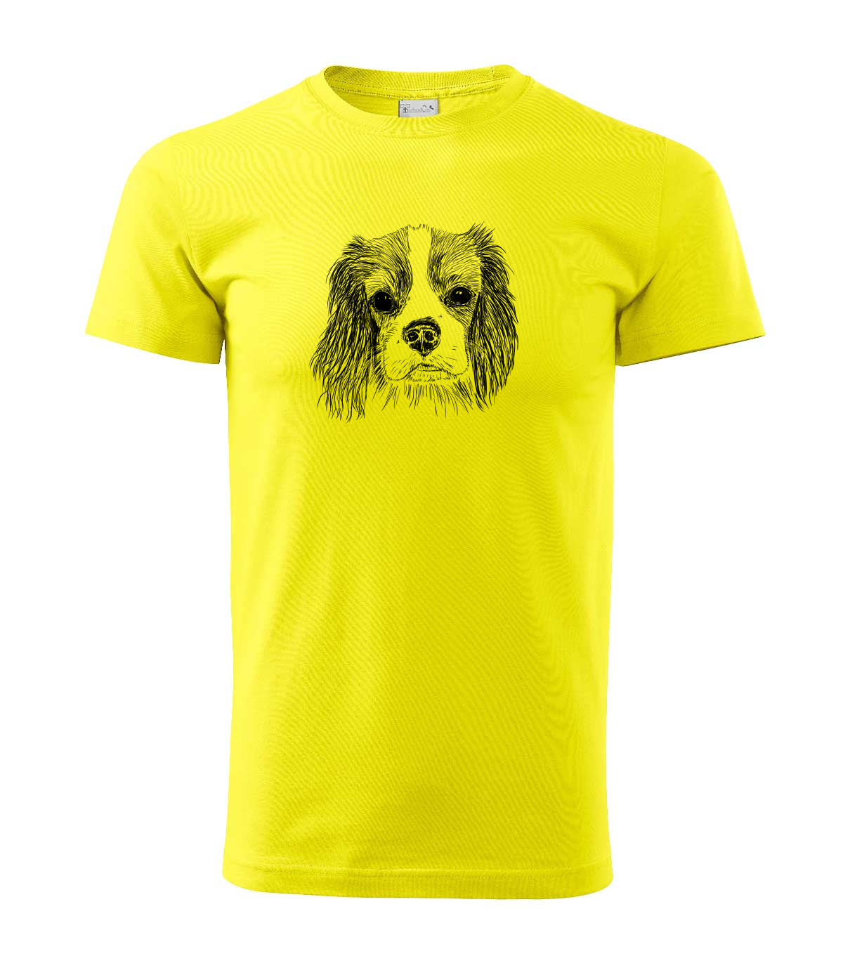 Cavalier