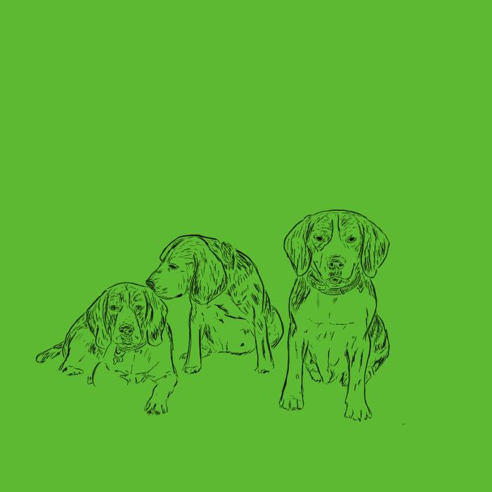 Bígl - apple green