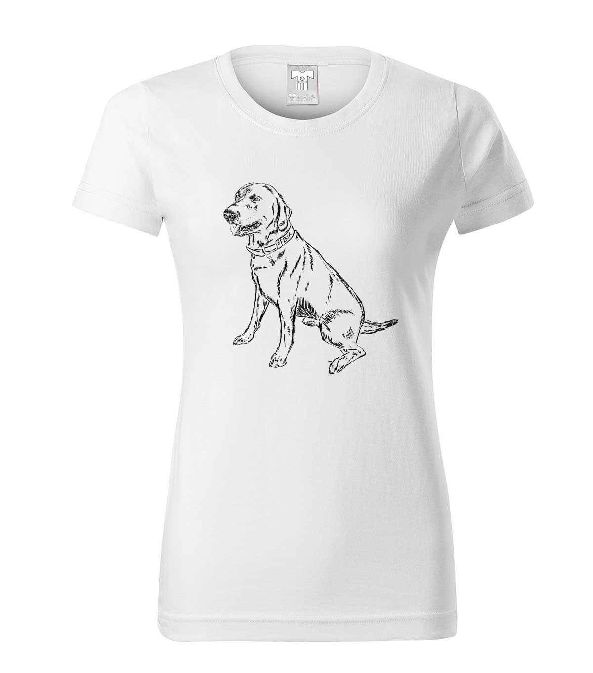 Labradorský retriever - bílá