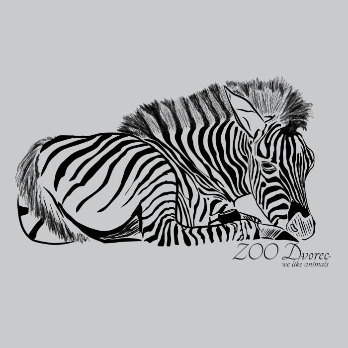 Zebra - ZOO Dvorec - světle šedý melír