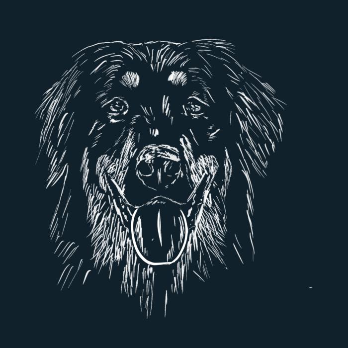 Hovawart - námořní modrá