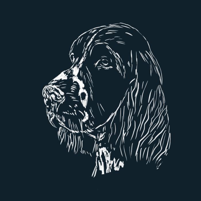 Springer Spaniel - námořní modrá