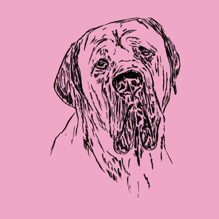 Cane corso - růžová
