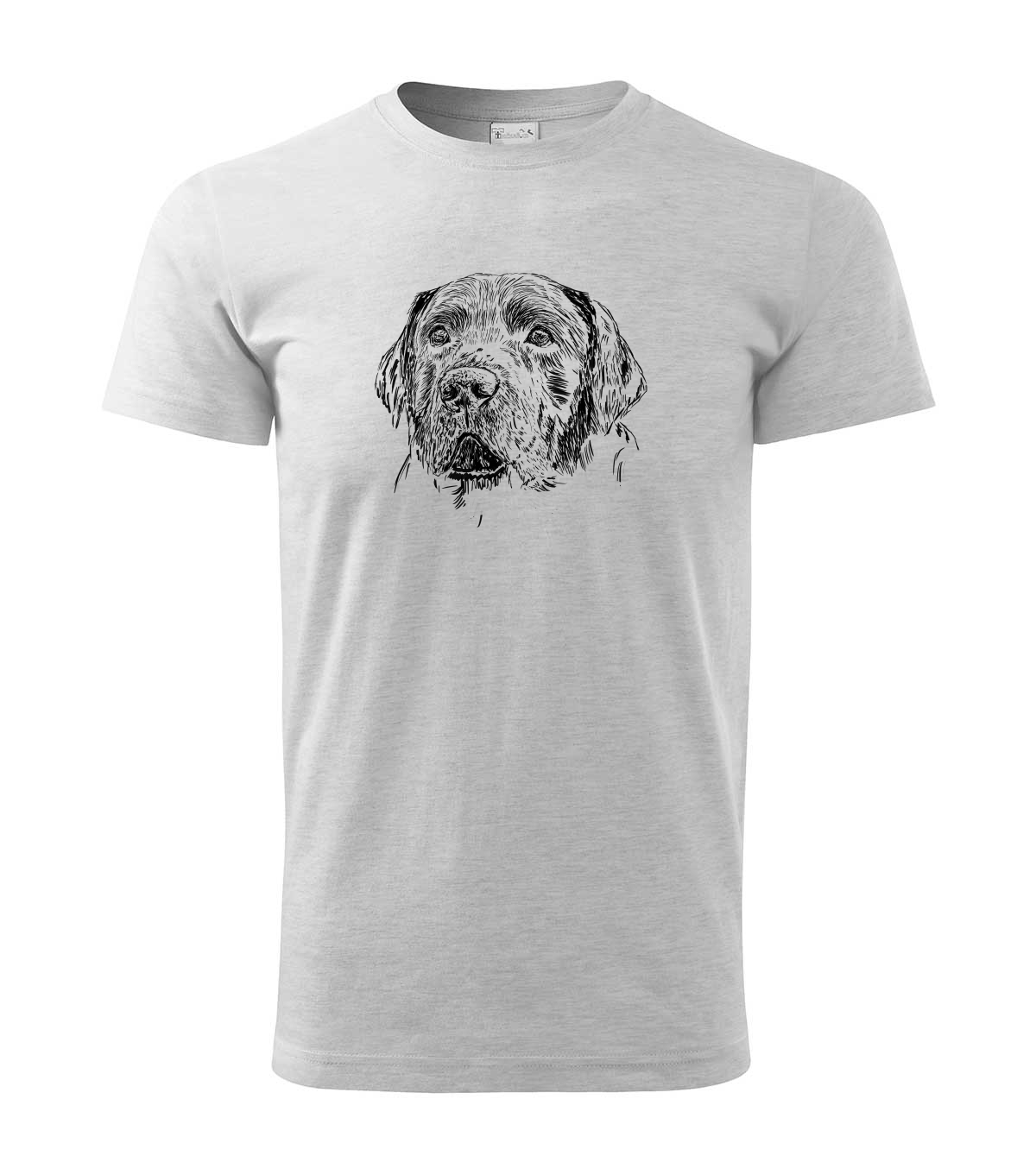 Labradorský retriever - světle šedý melír