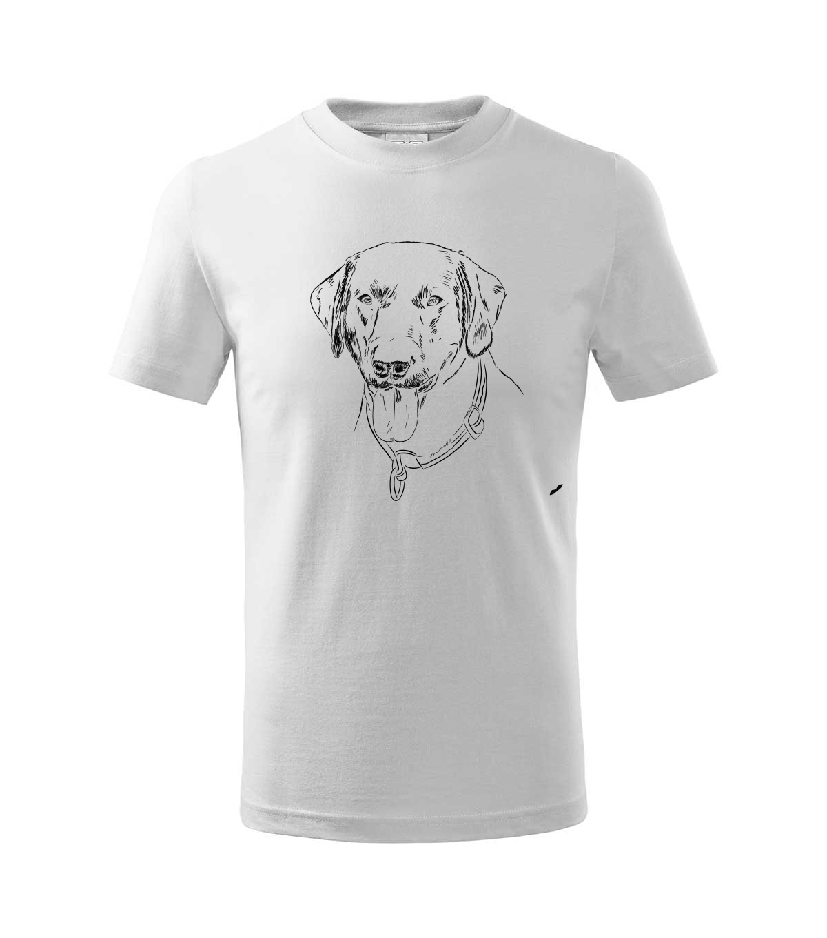 Labradorský retriever - bílá