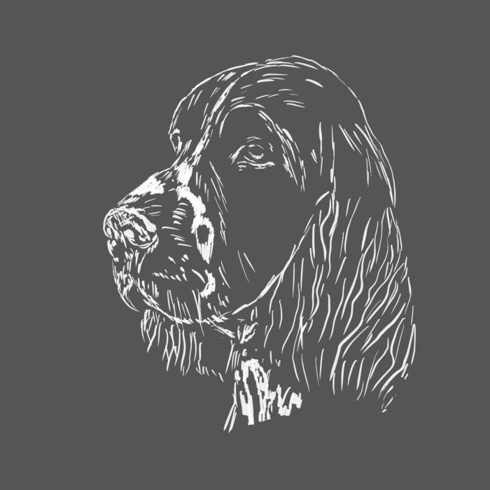 Springer Spaniel - ocelově šedá
