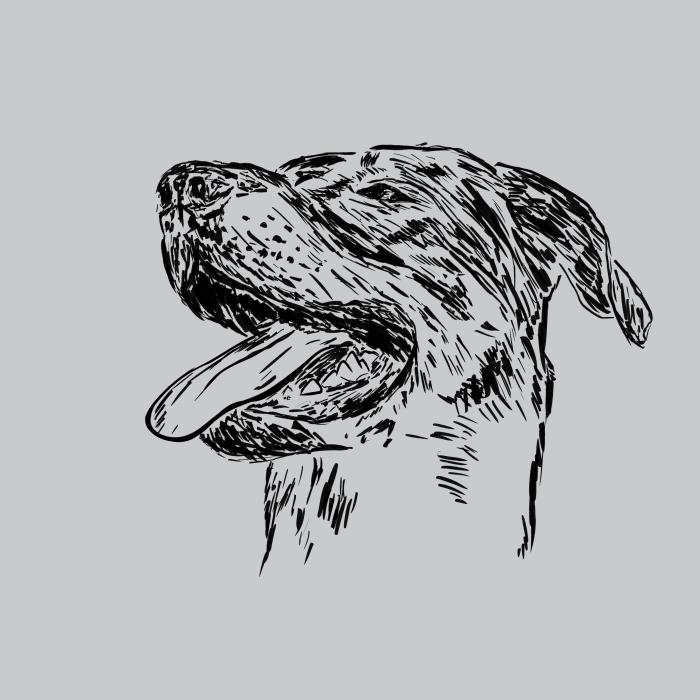 Bauceron - světle šedý melír