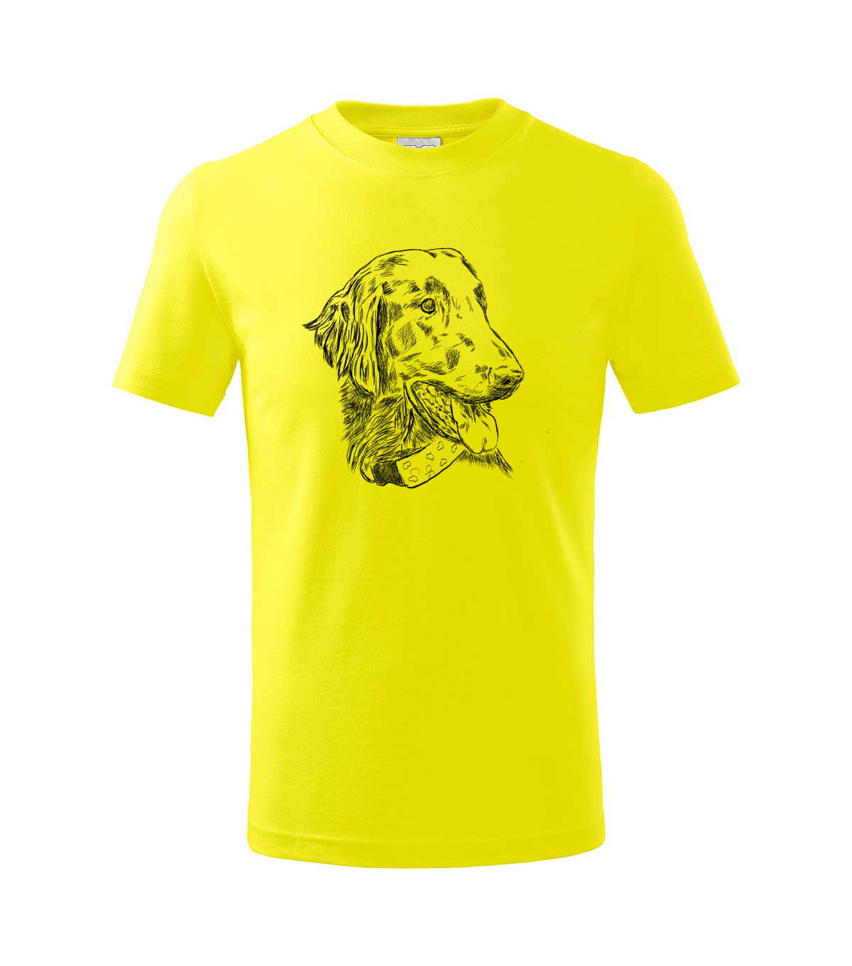 Flat coated retriever - citonová