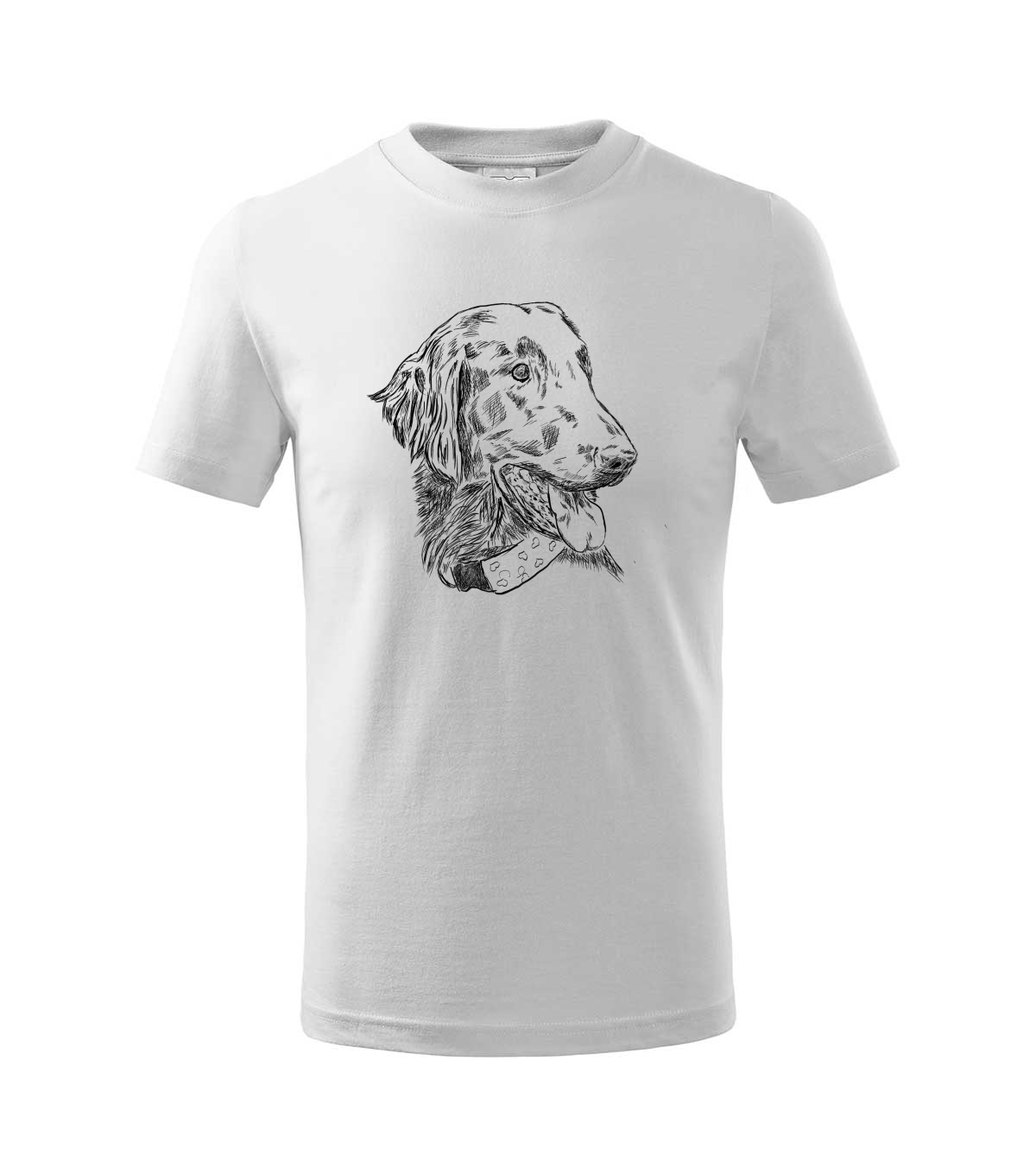Flat coated retriever - bílá