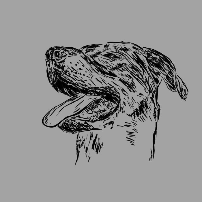 Bauceron - tmavě šedý melír