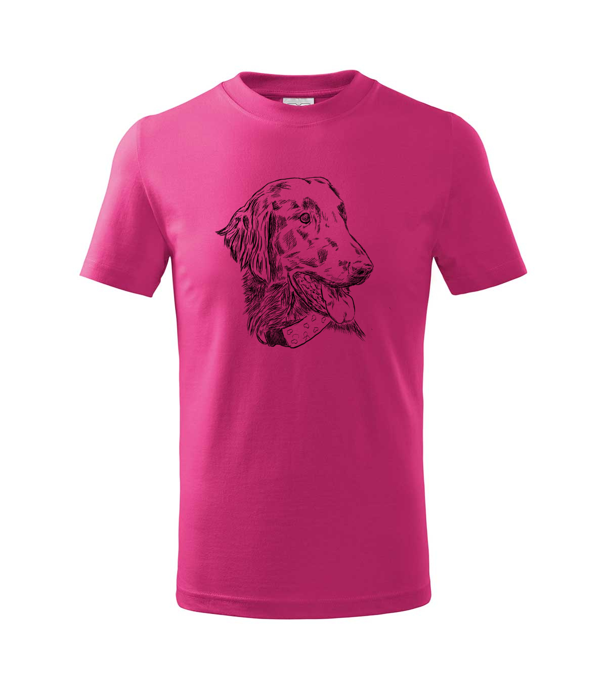 Flat coated retriever - malinová