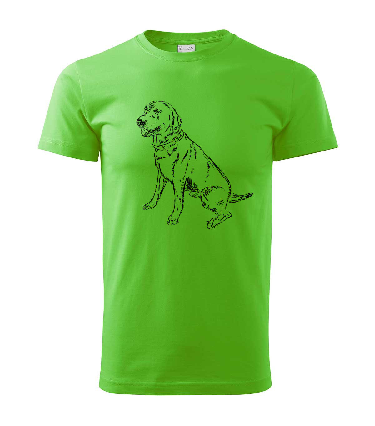 Labradorský retriever - apple green
