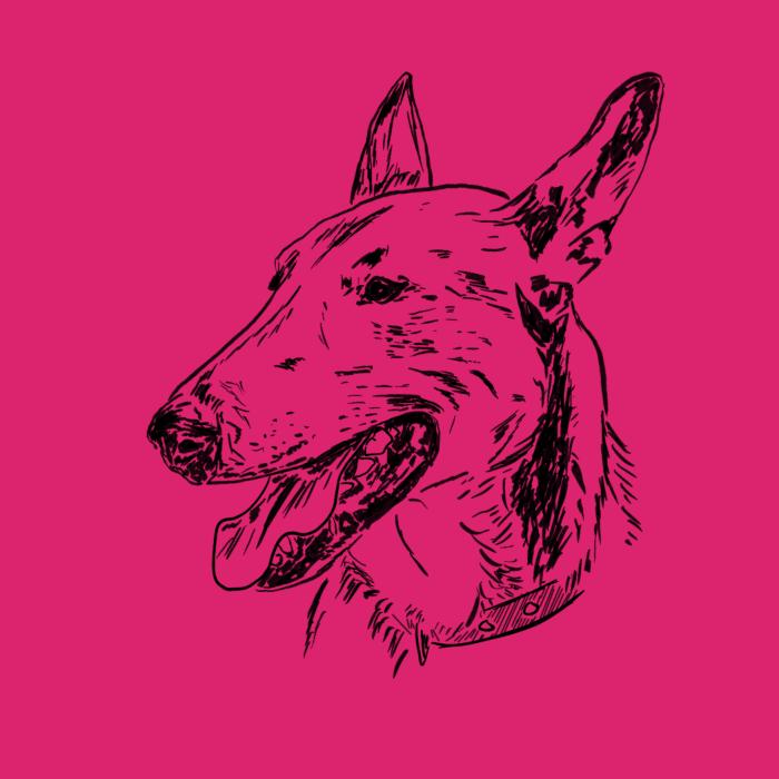 Anglický bulteriér - malinová