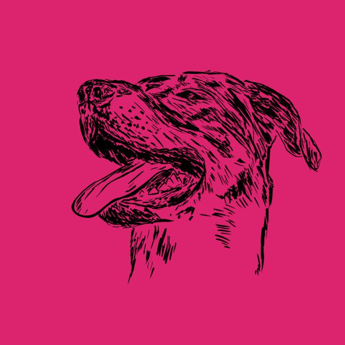 Bauceron - malinová