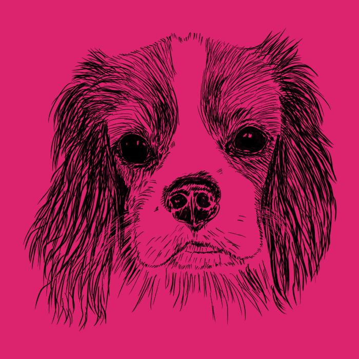 Cavalier - malinová