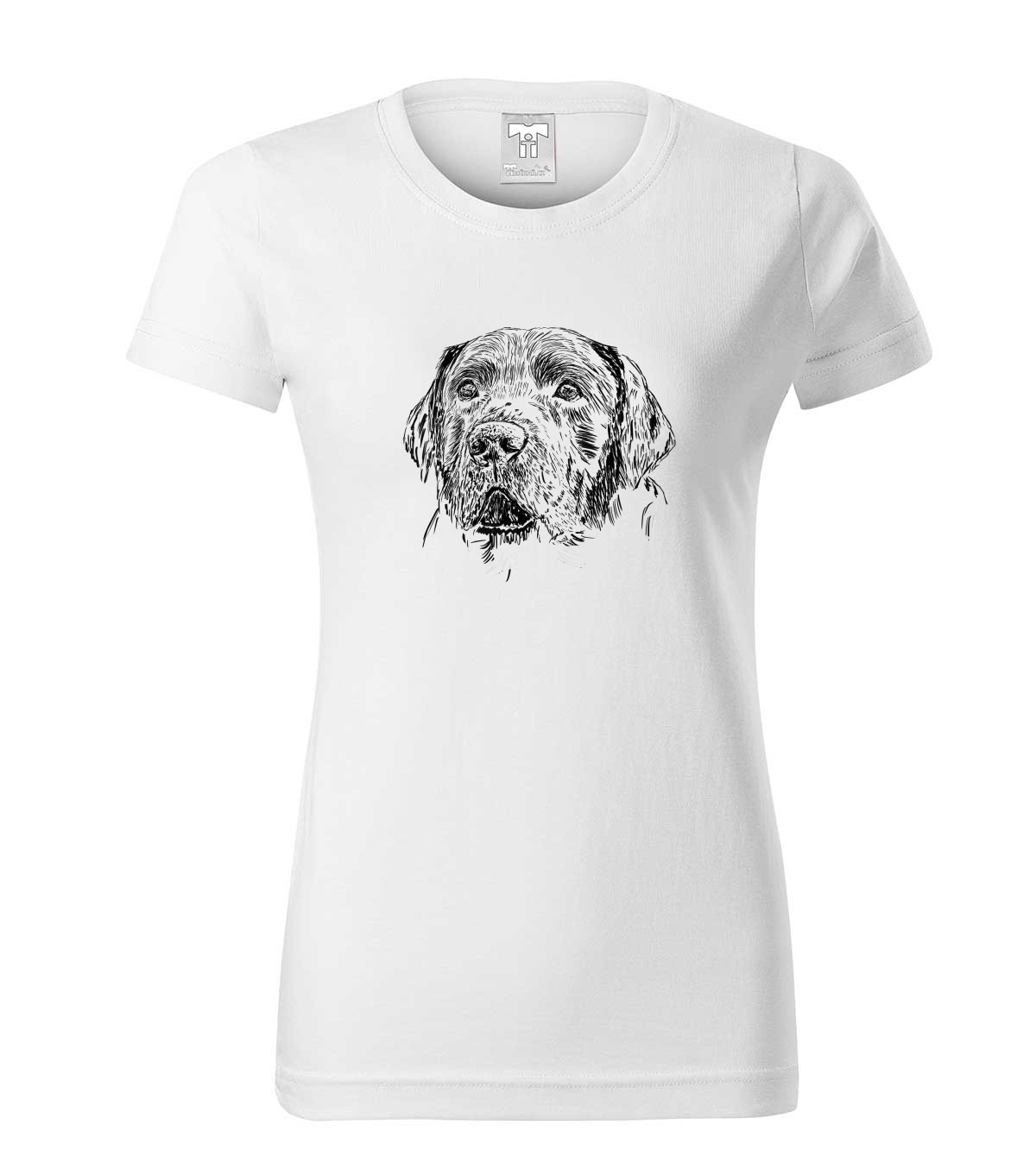 Labradorský retriever - bílá