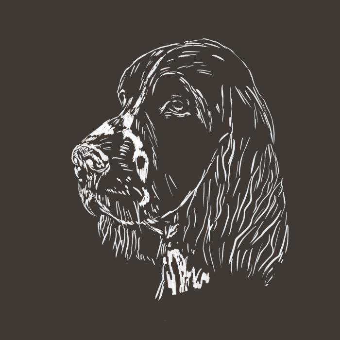 Springer Spaniel - army