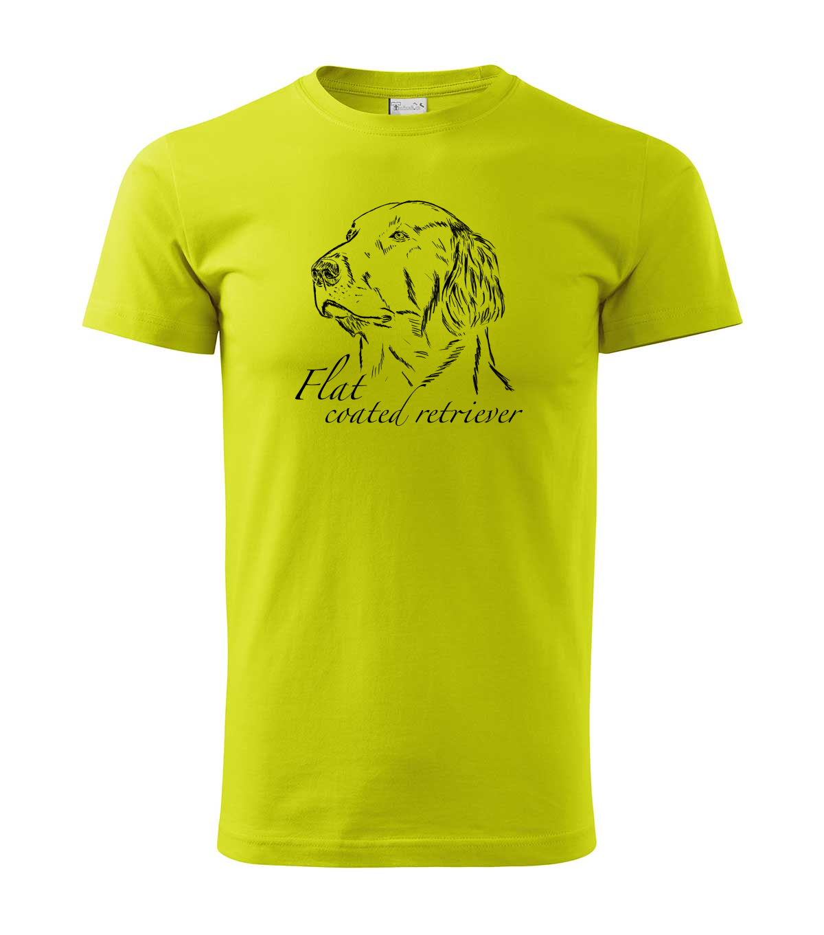Flat coated retriever - hlava