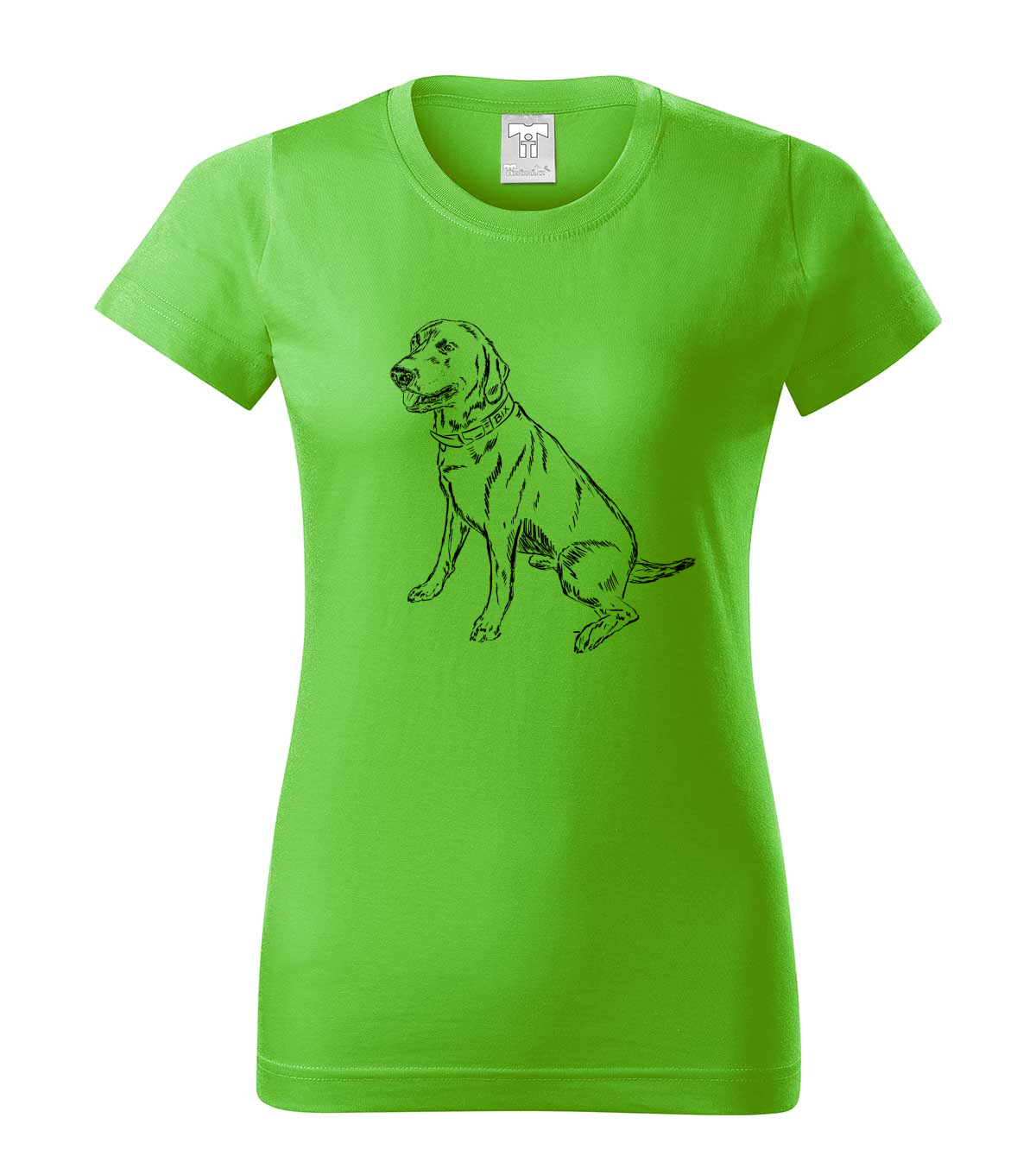 Labradorský retriever - apple green