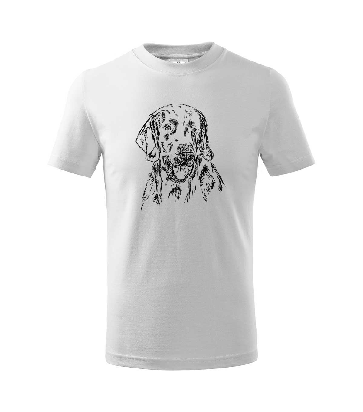 Flat coated retriever - bílá