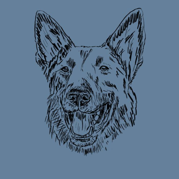 Německý ovčák - denim