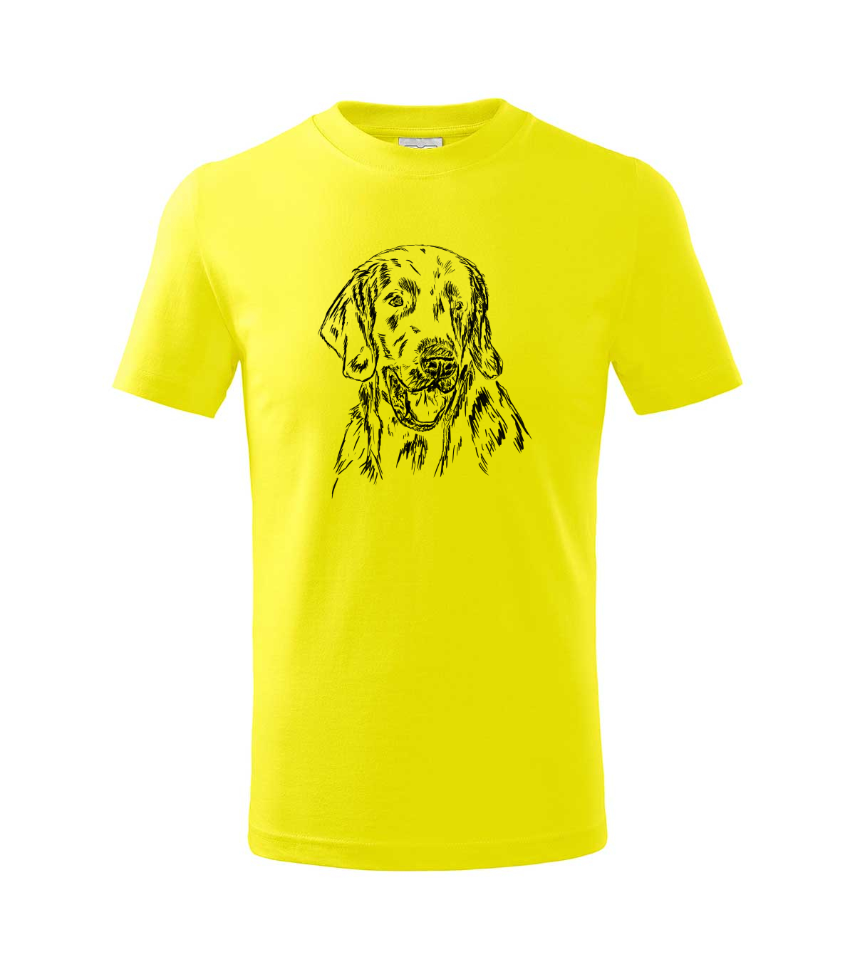 Flat coated retriever - citonová