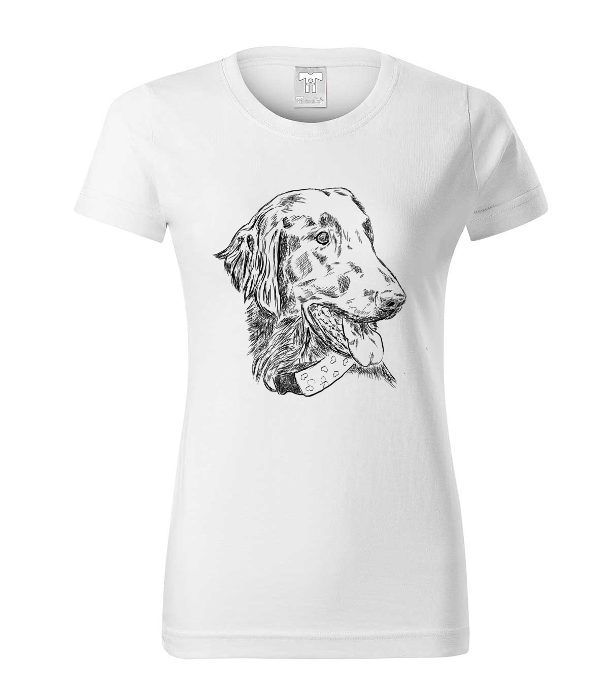 Flat coated retriever - bílá