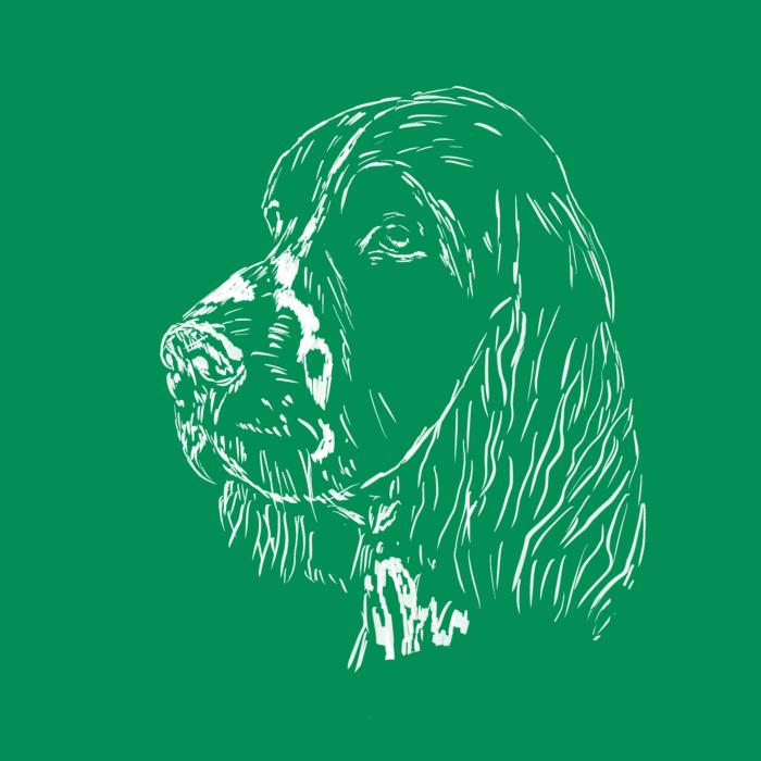 Springer Spaniel - středně zelená