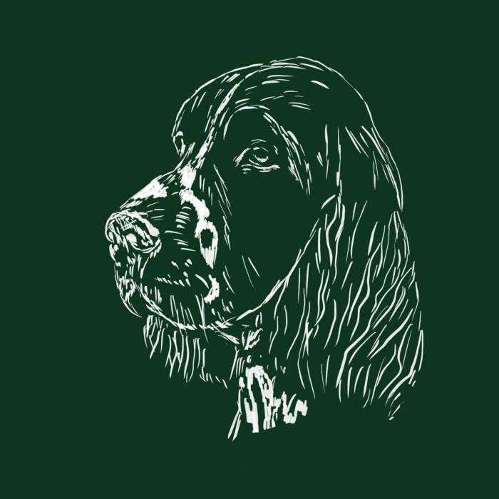 Springer Spaniel - lahvově zelená