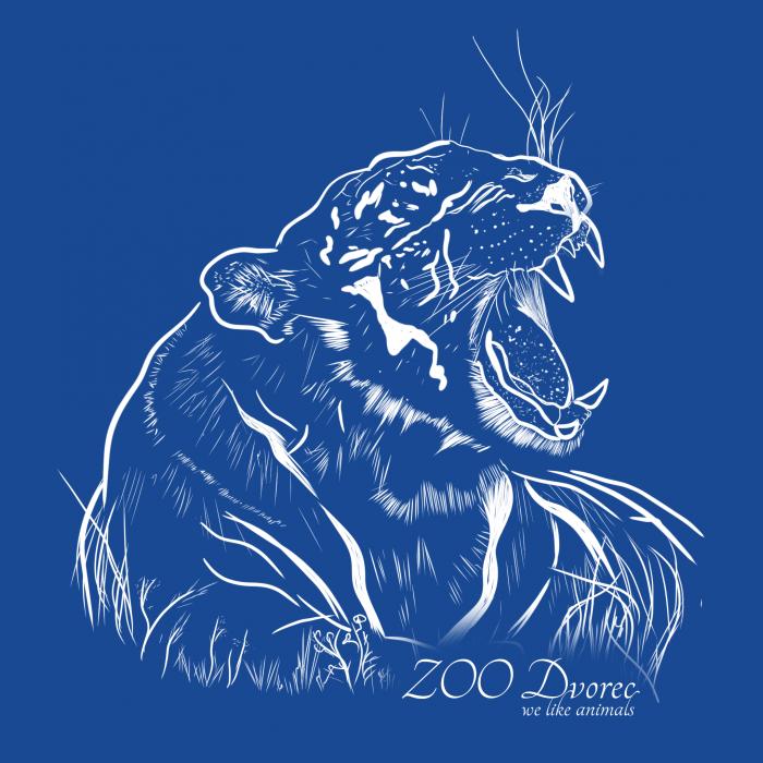 Bílý tygr - ZOO Dvorec - královsky modrá